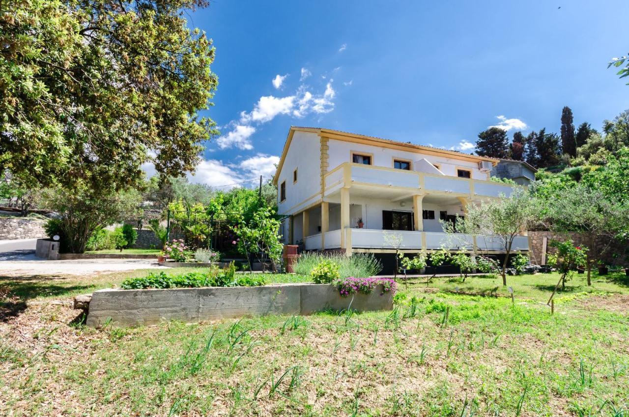 קמפור Apartments Zorka מראה חיצוני תמונה
